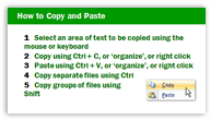 Copy and paste - large sticker